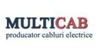 Multicab Electro